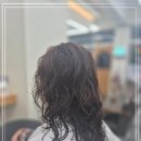 더스타일어반