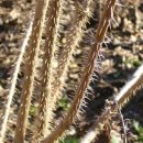 백모농장 이미지