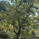 창수손세차장 이미지