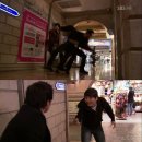 싸인스토리 이미지