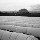 상모리-28 이미지