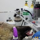 강동가스산소