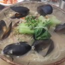 국수나무? 이미지