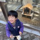 진양호동물원매점