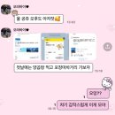 도리원통닭 | 좋은 소식 가득 담은 블로그💌