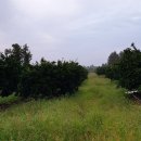 준이농장 이미지