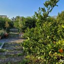 스테이3355 이미지