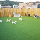 까페 놀곳 이미지