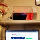 레벨업피씨카페 이미지