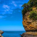 5월 3일 단 하루 바다·축제·먹거리 다 담은 해양기차여행 이미지