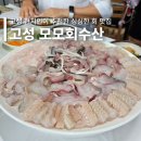 열여회식당 | 경남 고성 맛집 현지인 추천받아 가본 모모회식당! 푸짐한 자연산 제철회 횟집