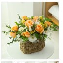 조이안과의원 네이버블로그