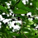 순천왜성 화장실 이미지