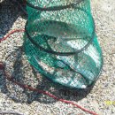 해성낚시터 이미지