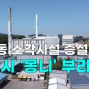 부리나 천안신문