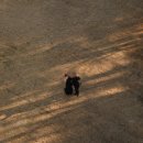 고유지 | [결혼 준비] 스튜디오 촬영 후기_청주 고유 스튜디오