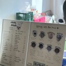 카페 몽몽 | 제주 노형 애견카페몽몽 소형견과 방문후기