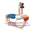 짐볼 서파인 트라이셉스 익스텐션 (Fitball Supine Triceps Extension) - 삼두 이미지