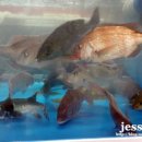 한림마트 이미지