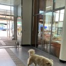 구례공영버스터미널 관광안내소 이미지