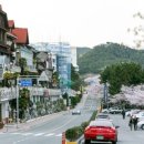 부산 달맞이길 해월씨에스의원, 항암환자가 직접 경험한 진심 후기