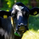 흙으로 예술 만들기 이미지