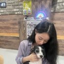 포포앤미루 강동점 | [강동구 애견카페] - 포포앤미루 (번외로 목동에 있는 애견카페도..)