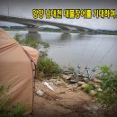 파라솔장어 네이버블로그