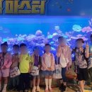 일산최강태권도장 이미지