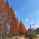 천년의 숲 화장실 이미지