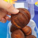 HAUS | [고속터미널 버터떡] SADDLER HAUS 버터떡 솔직 후기