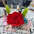 엘림캘리&플라워 이미지