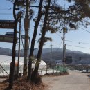 김징선생 신도비 이미지
