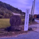 배때기네하우스 이미지