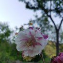 문경숲속정원 이미지