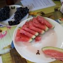 이영철농장 이미지