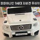💳 파파야나인 9세대 지바겐 푸쉬카 내돈내산 후기