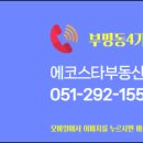 로얄부동산중개사무소 이미지