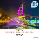 제주 서귀포층 패류화석 산지 | 9월 제주 서귀포 야경명소 가볼만한곳 새연교 새연쇼 후기