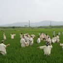 두레넷