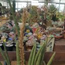 명원농장 이미지