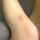 남동62 | [탈북62] 둠이스케이프1호점 '나폴리탄' 탈북 후기