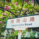 상지호텔 | 중국 주해 3박 4일 미식 &amp; 문화 여행: 크라운 플라자 주하이 시티 센터 추천