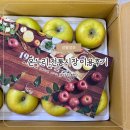 청송수산 | 온누리전통시장에서 디지털온누리상품권혜택으로 청송사과 구매후기