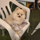 플러스동물메디컬센터 이미지