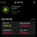 더 바벨 이미지