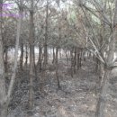 파주6리 경로당 이미지