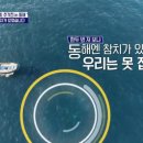 어부참치