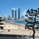 샤워하는운동화 | 클럽조선골드, 메리어트 플래티넘 웨조부 무료숙박권 후기