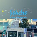 속초붕어당